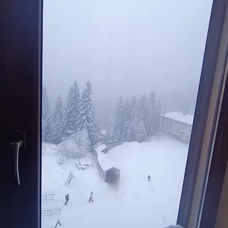 студио студенец