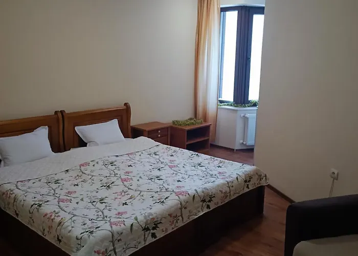 студио студенец * 팜포로보